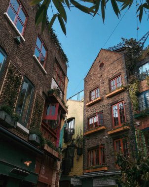 Neal 's Yard, Covent Garden, Londra