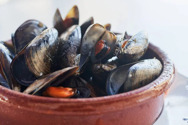 Vařené Mušle Restauraci — Stock fotografie