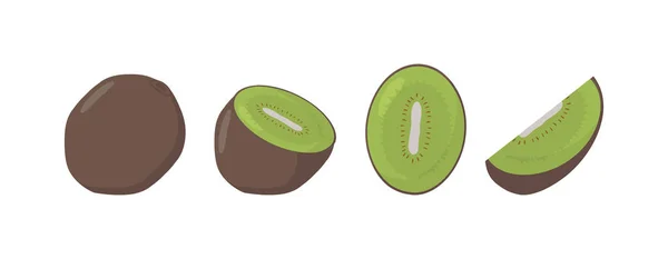 Frutas frescas de kiwi, en diferentes condiciones, vector — Vector de stock