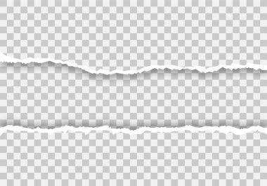 Yırtık kağıt. Kenar sayfa. Empy kağıt. İzole arka plan. -vektör