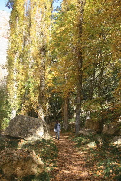 Autumnal Hiking Las Hoces Del Rio Duraton — Stock Photo, Image