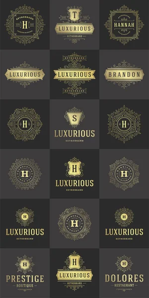 Logotipos Luxo Conjuntos Modelos Floresce Caligrafia Elegantes Linhas Ornamento Sinal — Vetor de Stock