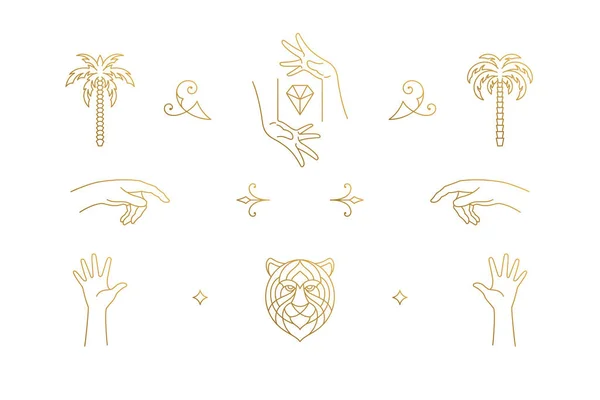 Linha vetorial elegante conjunto de elementos de design de decoração - cabeça de tigre e mãos de gesto ilustrações estilo linear mínimo —  Vetores de Stock