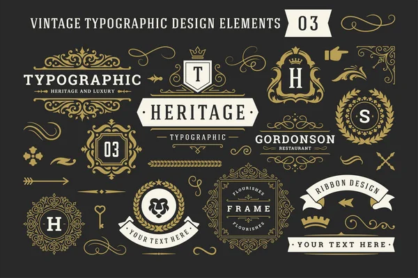 Vintage typografische decoratieve ornament design elementen set vector illustratie — Stockvector