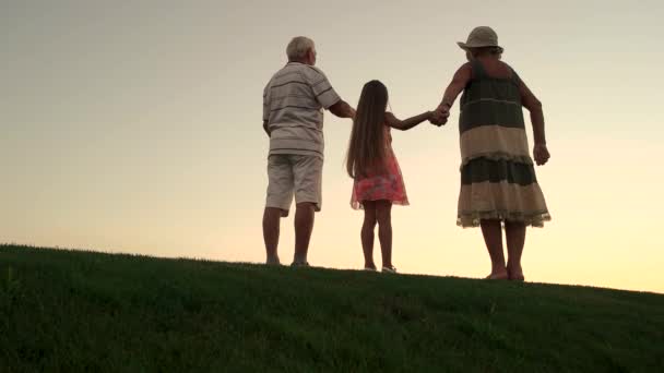 Девушка с бабушкой и дедушкой на природе . — стоковое видео
