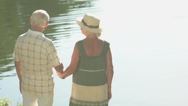 Old people holding hands. — Stock Video