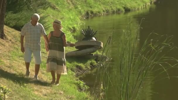 Vieilles personnes heureuses tenant la main à l'extérieur . — Video