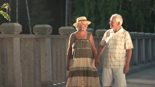 Sonriente pareja de personas mayores al aire libre . — Vídeos de Stock