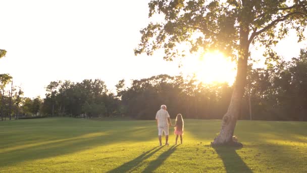 Abuelo Con Niño Caminando Sobre Hierba Verde Anciano Cogido Mano — Vídeos de Stock