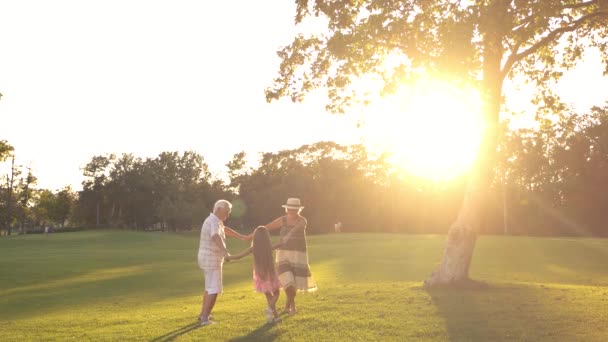 Ocio de los abuelos con nieto en el parque . — Vídeos de Stock