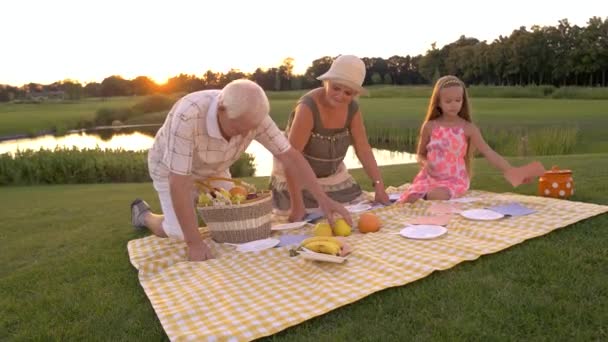 Senioren met kleindochter, natuur. — Stockvideo