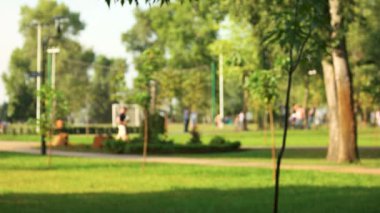 İnsanlar yaz parkta.