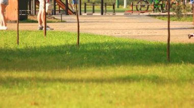 Şehir Park kişilik bir kalabalık.