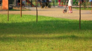 birçok insan bir şehir parkında yürüyüş.
