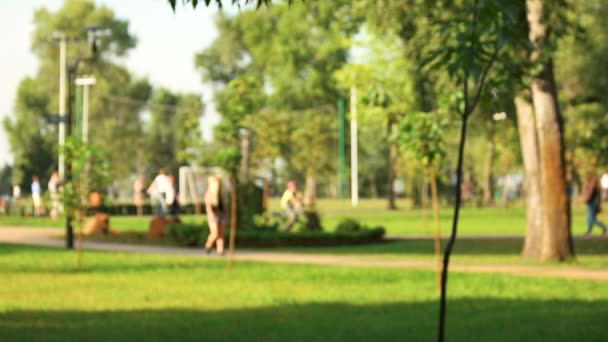 Defokussierter Hintergrund des Sommerparks mit spazierenden Menschen. — Stockvideo