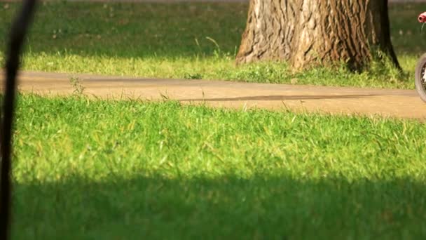 Kleines Kind, das Fahrrad fährt, aus nächster Nähe. — Stockvideo