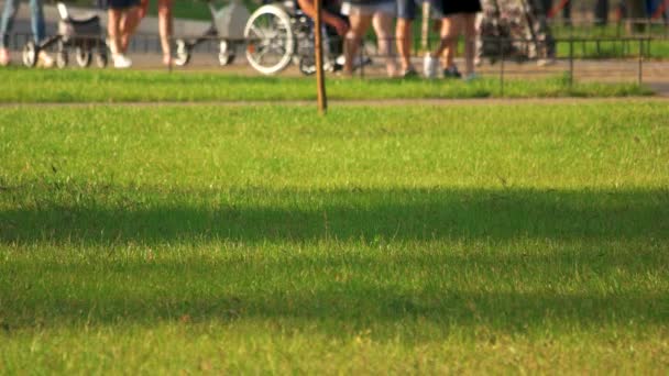 Groep mensen in stadspark buiten. — Stockvideo