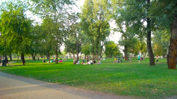 Picknick op het gazon van een park tijdens mooie zomerdag. — Stockvideo