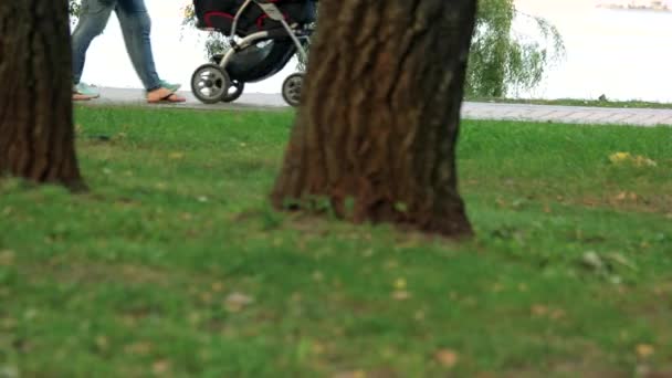 在公园里与婴儿马车漫步. — 图库视频影像