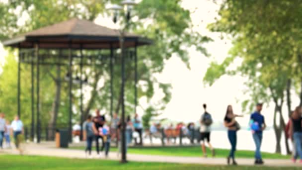 Wazig gedeconcentreerde mensen lopen in het park. — Stockvideo