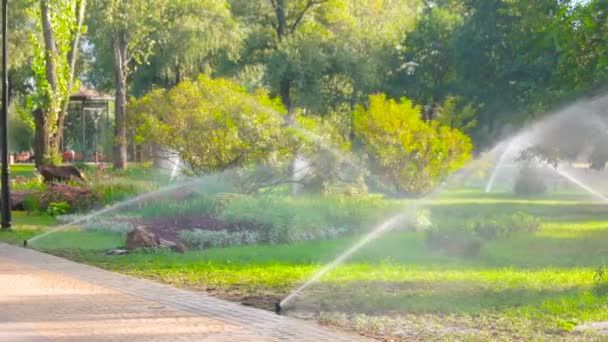 Water sprinkle system in the park lawn. — Stock Video