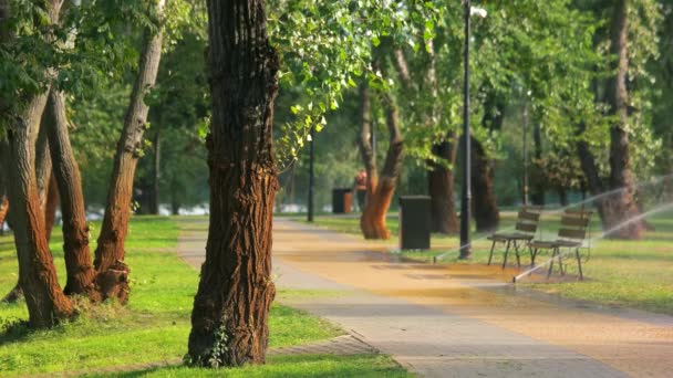 Sistema automatico di irrigazione intelligente nel parco cittadino . — Video Stock