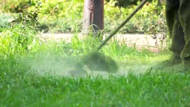 Arbeiter Mit Einem Rasenmäher Beim Rasenmähen Mann Mäht Das Gras — Stockvideo