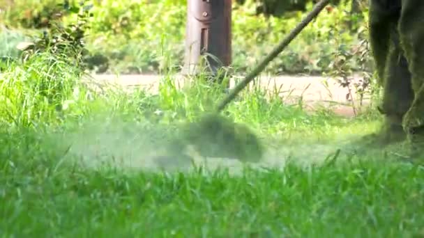 Werknemer Met Een Snoeischaar Gazon Maaier Snijden Gras Man Maaien — Stockvideo