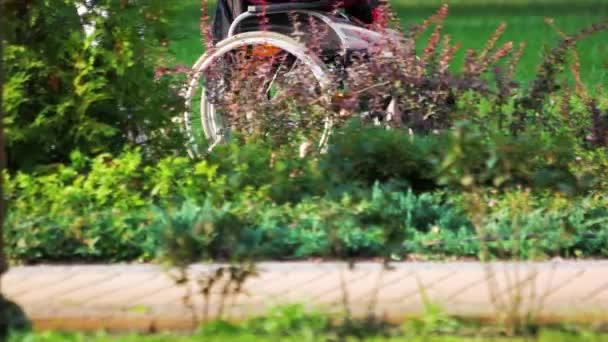 Άτομο με αναπηρία σε αναπηρικό καροτσάκι σε ένα πάρκο. — Αρχείο Βίντεο