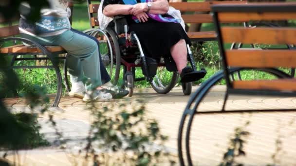 Anziani che parlano seduti sulla panchina. — Video Stock