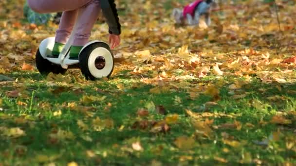 Malé dítě na koni gyroscooter na trávě. — Stock video