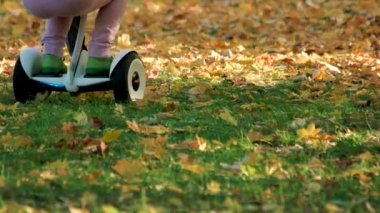 Gyroscooter çim üzerinde oynayan çocuklar.