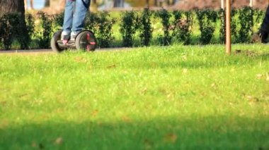 Çocuklar gyroscooters sonbahar parkta sürme.