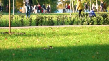 İnsanlar tatil parkta yürüyor. İnsanların yaz parkta kalabalık.