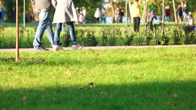 Yeşil çimen yaz kalabalık Park.