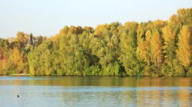 Nehir su üstünde uçan kuşlar.