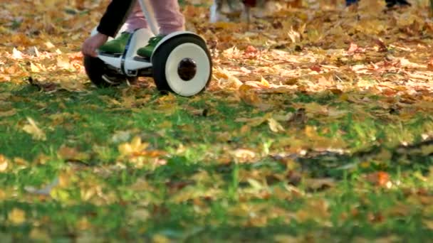 Girl pick up fallen oak leaves riding electrical gyroscooter. — Stock Video