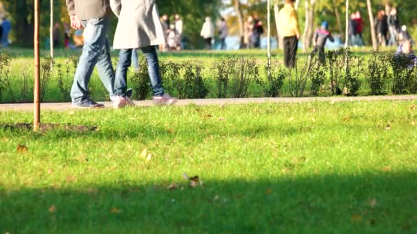 Herbe verte en été parc bondé . — Video