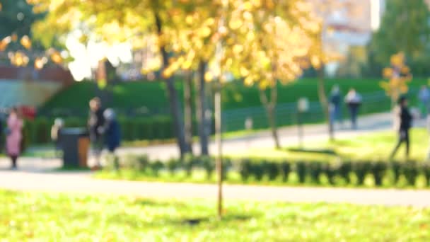 Gente desenfocada en el parque . — Vídeo de stock