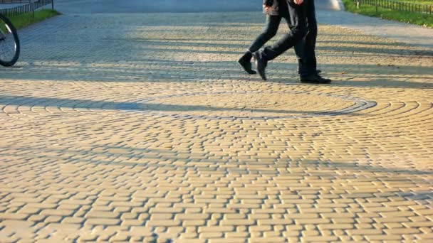 人们在鹅卵石铺的人行道上漫步 鹅卵石在公园的表面 — 图库视频影像