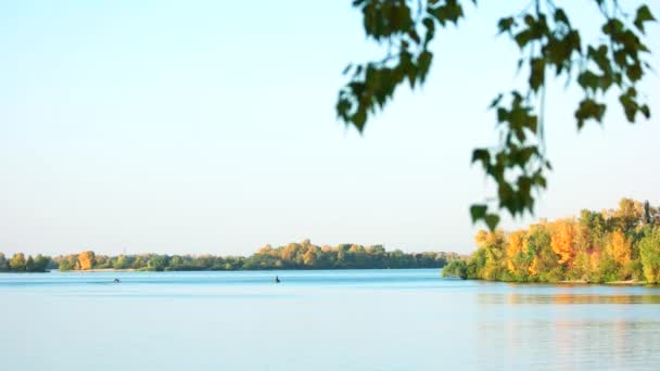 Paisaje fluvial con árboles . — Vídeos de Stock