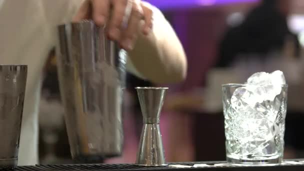 Barman använder shaker. — Stockvideo