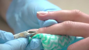 Doğru bir şekilde kesme kütikül yakın çekim.