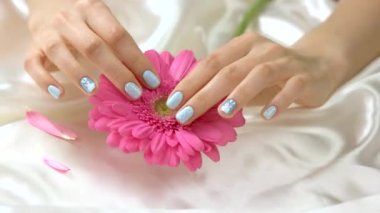 Pembe gerbera çiçek ve manikürlü eller.