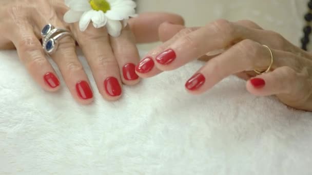 Mãos bem preparadas após a terapia de spa . — Vídeo de Stock