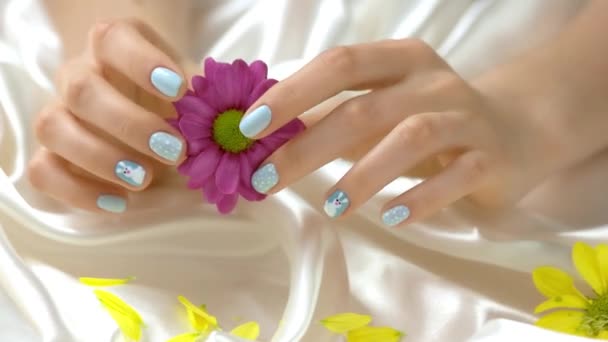 Красива хризантема в жіночих руках . — стокове відео