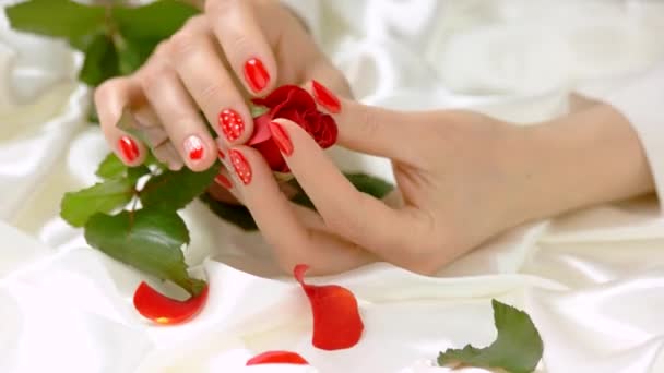 Kvinnliga händer smeka försiktigt röd ros. — Stockvideo