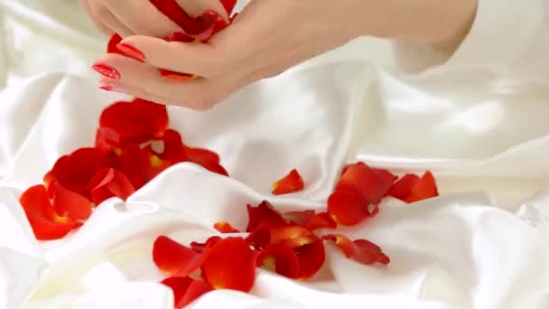 Rode bloemblaadjes vallen van vrouwelijke handen. — Stockvideo
