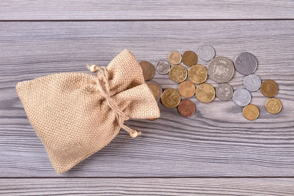 Pengar canvas med mynt. — Stockfoto