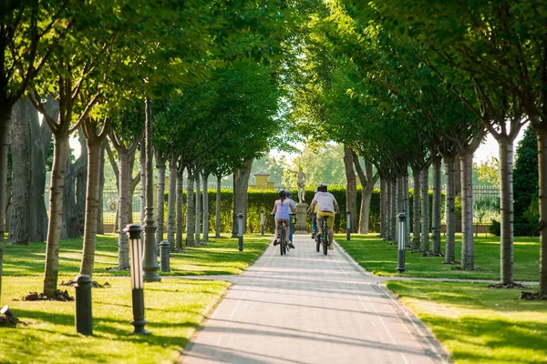 Estudantes de ciclismo no parque, vista traseira . — Fotografia de Stock